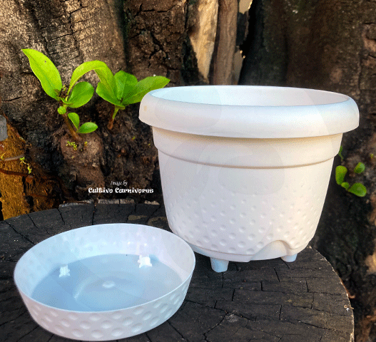 plastic pots for plants south africa All weather plastic planter with clip on tray