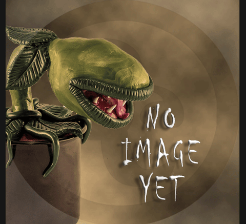 VENUS FLYTRAP: Tiger Teeth