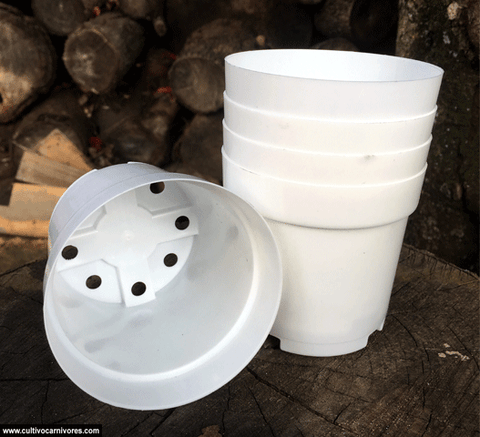 POTS & PLANTERS: Shrub Pots (Various Sizes and Colours) for sale | Buy carnivorous plants and seeds online @ South Africa's leading online plant nursery, Cultivo Carnivores