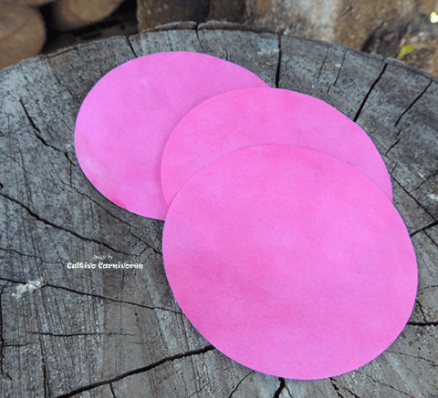 GROWING SUPPLIES: Smoke Primer Discs * Smoke Paper Discs * Seed Primer for sale | Buy carnivorous plants and seeds online @ South Africa's leading online plant nursery, Cultivo Carnivores