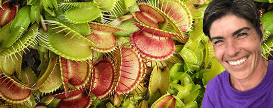 Rootball Plugs™ for Carnivorous Plants — What Makes Them Awesome ...