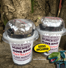 GROW-YOUR-OWN SEED STARTER PACKS
