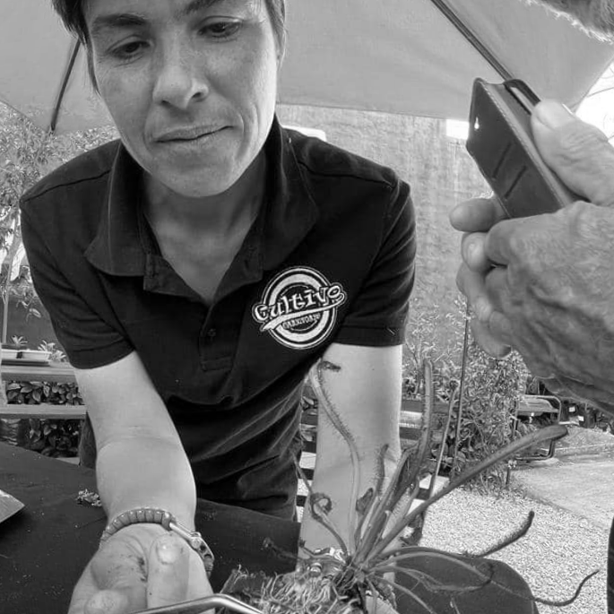 Expert carnivorous plant consultation and care tips