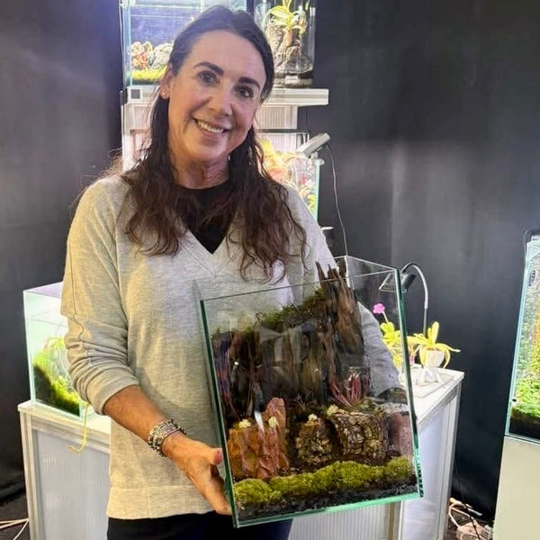 CARNIVOROUS PLANTS IN TERRARIUMS 🌟 The Ultimate All-Inclusive Workshop