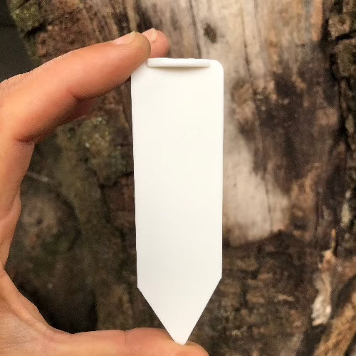 10 Pack:  All weather Plant label * Rigid plastic > 10cm x 2.9cm for sale | Buy carnivorous plants and seeds online @ South Africa's leading online plant nursery, Cultivo Carnivores