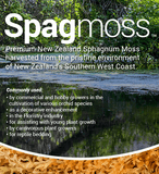 LONG FIBER SPHAGNUM MOSS:  Besgrow Spagmoss, New Zealand * Premium grade squares