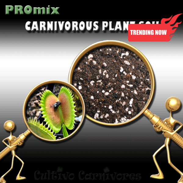 PRE-MIXED GROWING MEDIA:  PROmix for Venus Flytraps (Dionaea Muscipula) for sale | Buy carnivorous plants and seeds online @ South Africa's leading online plant nursery, Cultivo Carnivores