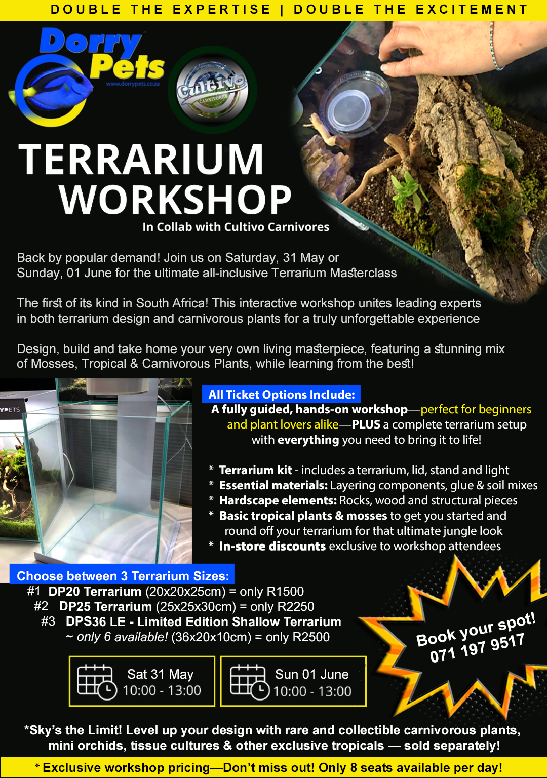 CARNIVOROUS PLANTS IN TERRARIUMS 🌟 The Ultimate All-Inclusive Workshop