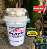 GROW your own Venus Fly traps: The COMPLETE seed starter pack for sale | Buy carnivorous plants and seeds online @ South Africa's leading online plant nursery, Cultivo Carnivores