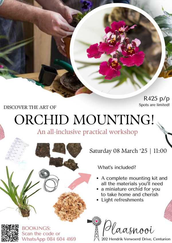 THE ART OF ORCHID MOUNTING 🌟 A Practical All-Inclusive Workshop