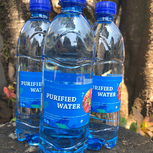 Buy Purified reverse osmosis water in South Africa. Low in minerals Less than 5ppm. Suitable for all carnivorous plants. Bottled in 330 ml and 500 ml for nationwide delivery