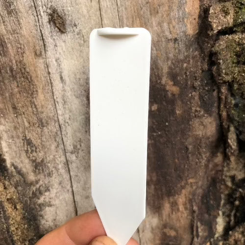 10 Pack:  All weather Plant label * Rigid plastic > 10cm x 2.9cm for sale | Buy carnivorous plants and seeds online @ South Africa's leading online plant nursery, Cultivo Carnivores