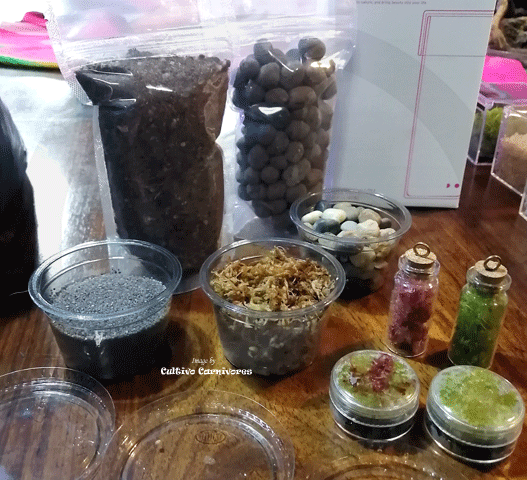 Terrarium-Gravel-course-Black-small-tub-for-sale_Buy-Aquascaping-and-carnivorous-plant-supplies-online-_-Cultivo-Carnivores-South-Africa