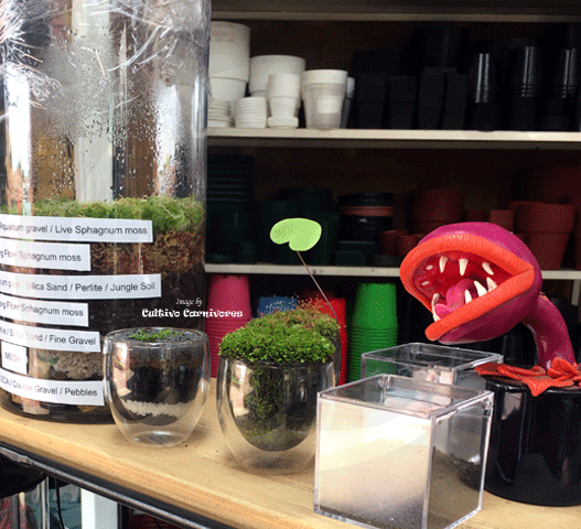 Terrarium-Gravel-course-Black-small-tub-for-sale_Buy-Aquascaping-and-carnivorous-plant-supplies-online-_-Cultivo-Carnivores-South-Africa