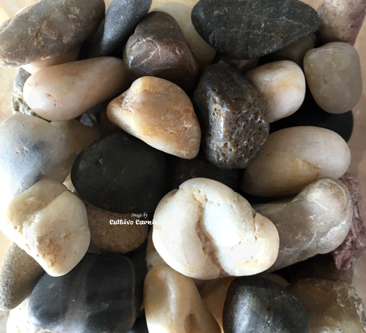 AQUASCAPE SUPPLIES:  Pebbles for terrariums * Multicolour mix (Beige /  Brown)  * Small Tub