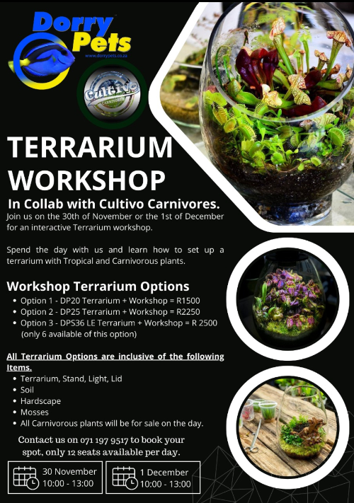 Terrarium Workshop - All inclusive, Centurion South Africa