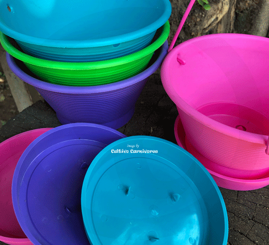 15cm Hanging Bowl Planter • Clip-on Tray & Hanger • Assorted Colours