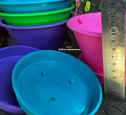 15cm Hanging Bowl Planter • Clip-on Tray & Hanger • Assorted Colours