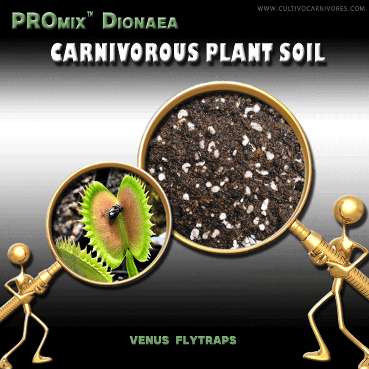 Venus Flytrap Soil Mix South Africa