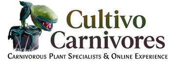 Cultivo Carnivores