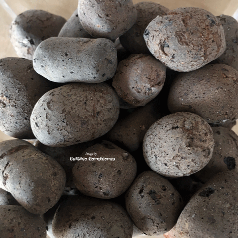 Close-up of large LECA clay pellets (9–16mm) used for orchids, terrariums, hydroponics and aquascaping