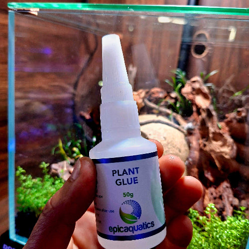 50g Plant Mounting Glue bottle held in front of a terrarium with moss and driftwood - ideal for mounting moss, orchids and tropical & carnivorous plants