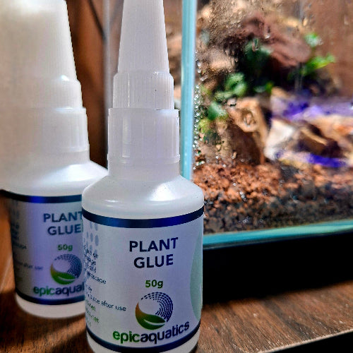Two bottles of Plant Mounting Glue 50g on a wooden surface beside a planted terrarium - safe, clear adhesive for moss, orchids and carnivorous plants