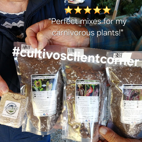 Cultivo Carnivores PROmix™ – Premium Carnivorous Plant Soil Mixes for Sundews, Venus Flytraps, Pitcher Plants, Nepenthes and Butterworts. High-quality, nutrient-free soil blends for healthy carnivorous plant growth in South Africa. 