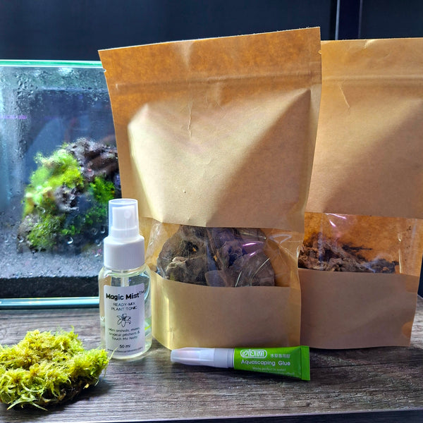 M•O•S•S•Y ROCKS™ • Living Mount Kit <br> (Starter / Creative)