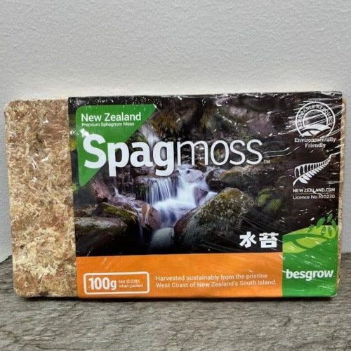 LONG FIBER SPHAGNUM MOSS:  Besgrow Spagmoss, New Zealand * Premium grade