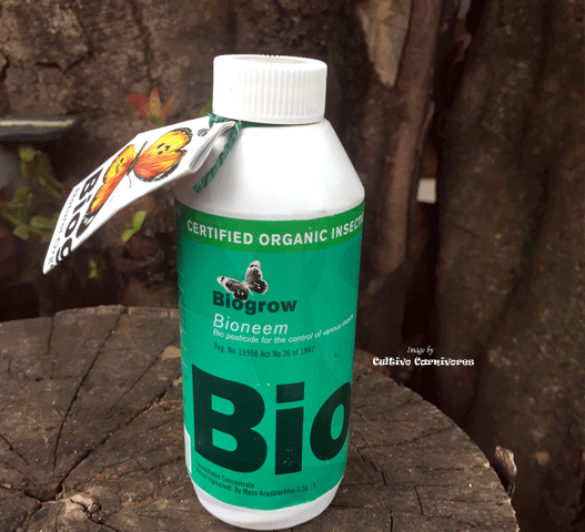 PEST CONTROL: Biogro Bioneem (Organic Insecticide) for sale * Buy online @ South Africa's leading online plant nursery, Cultivo Carnivores