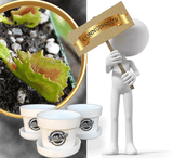 BUG-MUNCHING MINI's for Connoisseurs 💎 VENUS FLYTRAPS with ID (Cultivo Exclusive)