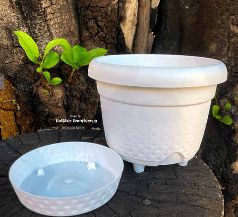 POTS & PLANTERS: Modern Plastic Planter with tray for  sale | Buy carnivorous plants and seeds online @ South Africa's leading online plant nursery, Cultivo Carnivores