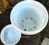 POTS & PLANTERS: ALL WEATHER Planter Set with clip on tray * 1.1ℓ * LIMITED RELEASE!