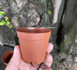POTS & PLANTERS: Pöppelmann TEKU® High drainage nursery pots * Limited Release