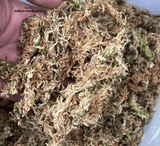 LONG FIBER SPHAGNUM MOSS: Supersphag, NZ (Individual pack) for sale | Buy carnivorous plants and seeds online @ South Africa's leading online plant nursery, Cultivo Carnivores