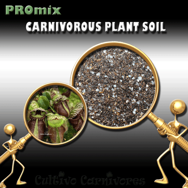 PRE-MIXED GROWING MEDIA: PROmix for Albany pitcher plants (Cephalotus) for sale | Buy carnivorous plants and seeds online @ South Africa's leading online plant nursery, Cultivo Carnivores