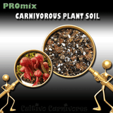 PRE-MIXED GROWING MEDIA:  PROmix for Cobra Lilies (Darlingtonia Californica) for sale | Buy carnivorous plants and seeds online @ South Africa's leading online plant nursery, Cultivo Carnivores
