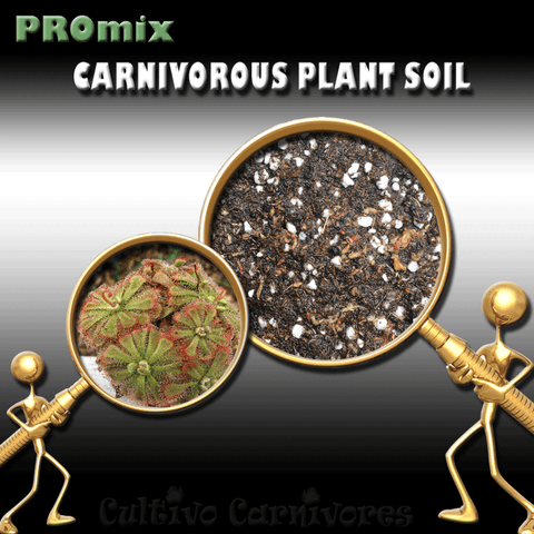 PRE-MIXED GROWING MEDIA:  PROmix for Sundews (Drosera) for sale | Buy carnivorous plants and seeds online @ South Africa's leading online plant nursery, Cultivo Carnivores