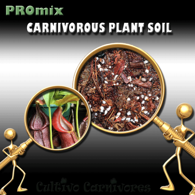 PRE-MIXED GROWING MEDIA:  PROmix for Tropical Pitcher Plants (Nepenthes) for sale | Buy carnivorous plants and seeds online @ South Africa's leading online plant nursery, Cultivo Carnivores