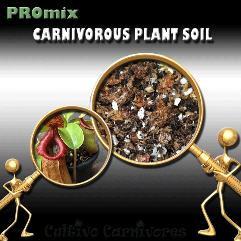PRE-MIXED CARNIVOROUS PLANT SOIL: PROmix for Tropical pitcher plants (Nepenthes) for sale | Buy sphagnum moss online @ South Africa's leading online plant nursery, Cultivo Carnivores