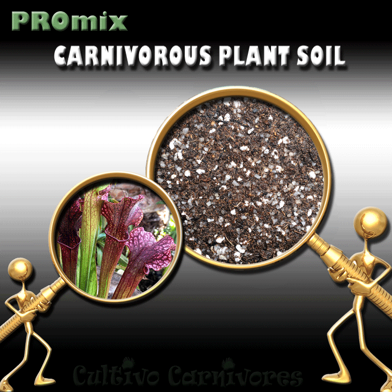 PRE-MIXED GROWING MEDIA:  PROmix for American Trumpet Pitcher Plants (Sarracenia) for sale | Buy carnivorous plants and seeds online @ South Africa's leading online plant nursery, Cultivo Carnivores