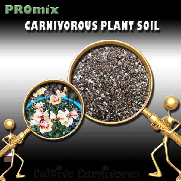 PRE-MIXED GROWING MEDIA:  PROmix for Terrestrial Bladderworts (Utricularia) for sale | Buy carnivorous plants and seeds online @ South Africa's leading online plant nursery, Cultivo Carnivores
