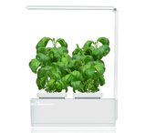 Hydroponic Smart Herb Garden (with built-in timer) > Great for indoor carnivorous plants!