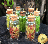 LIVE SPHAGNUM MOSS: STRANDS Mixed Species for sale | Buy carnivorous plants and seeds online @ South Africa's leading online plant nursery, Cultivo Carnivores