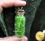 LIVE SPHAGNUM MOSS: STRANDS Mixed Species for sale | Buy carnivorous plants and seeds online @ South Africa's leading online plant nursery, Cultivo Carnivores
