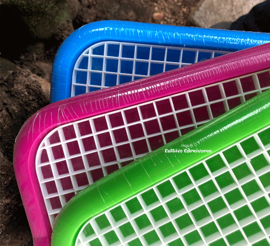 Plastic drainage tray with removable grid * Buy online now @ www.cultivocarnivores.com * South Africa