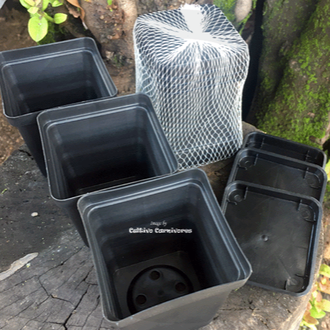 10cm nursery pots with tray – set of 3 from Cultivo Carnivores South Africa