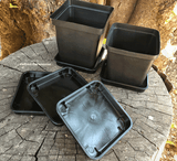 POTS & PLANTERS: Nursery Pots * Square * Various Sizes & Colours