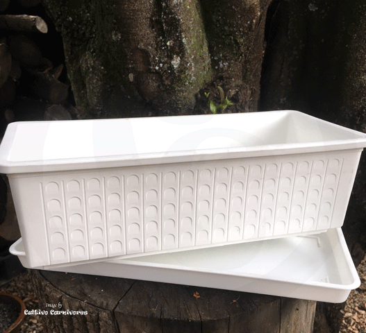 POTS & PLANTERS: Window Box Planter (Various Colours) for sale | Buy carnivorous plants and seeds online @ South Africa's leading online plant nursery, Cultivo Carnivores